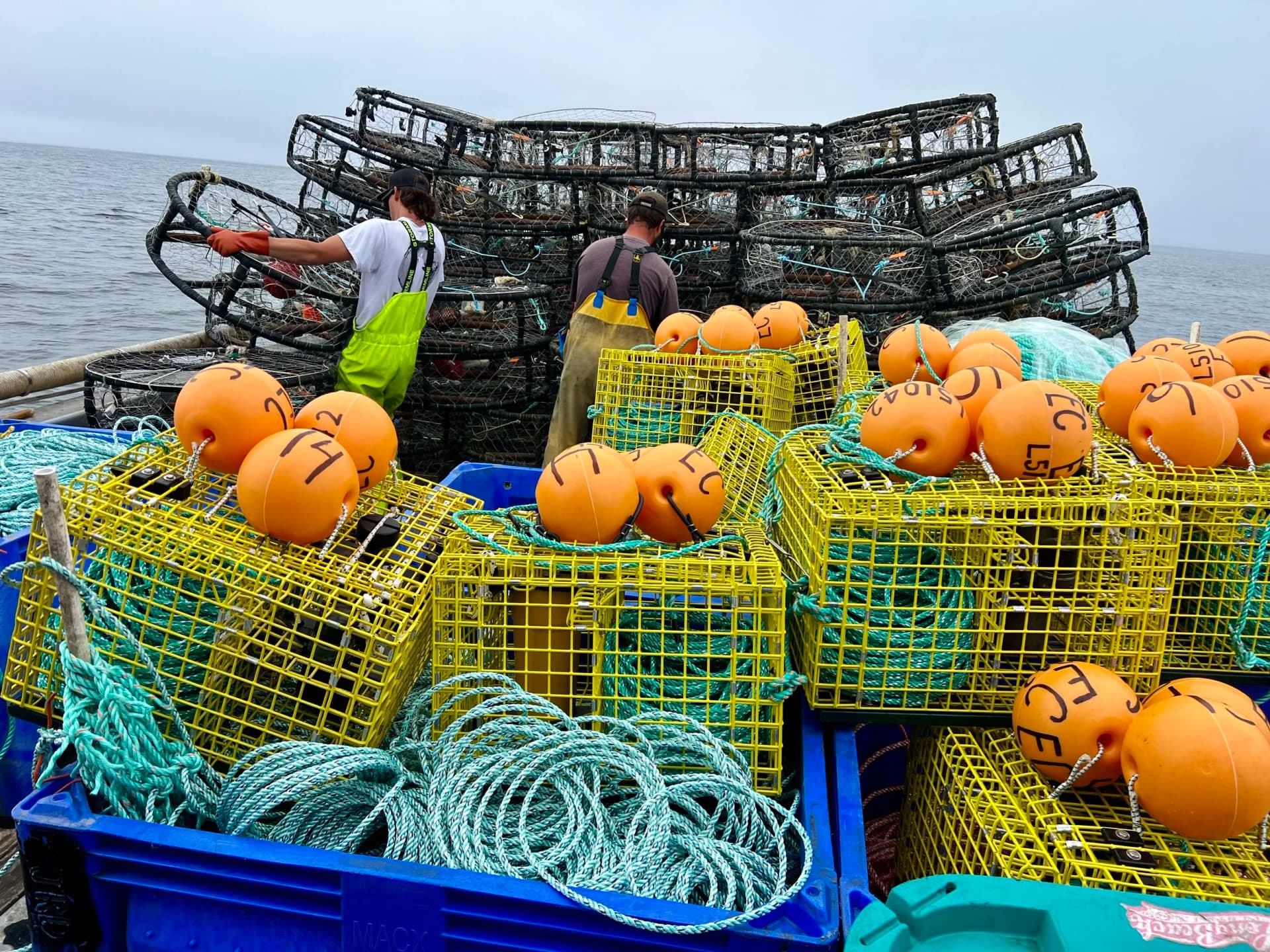 Monterey Bay Fisheries Trust March 2026 Newsletter Highlights Sustainable Fishing Updates