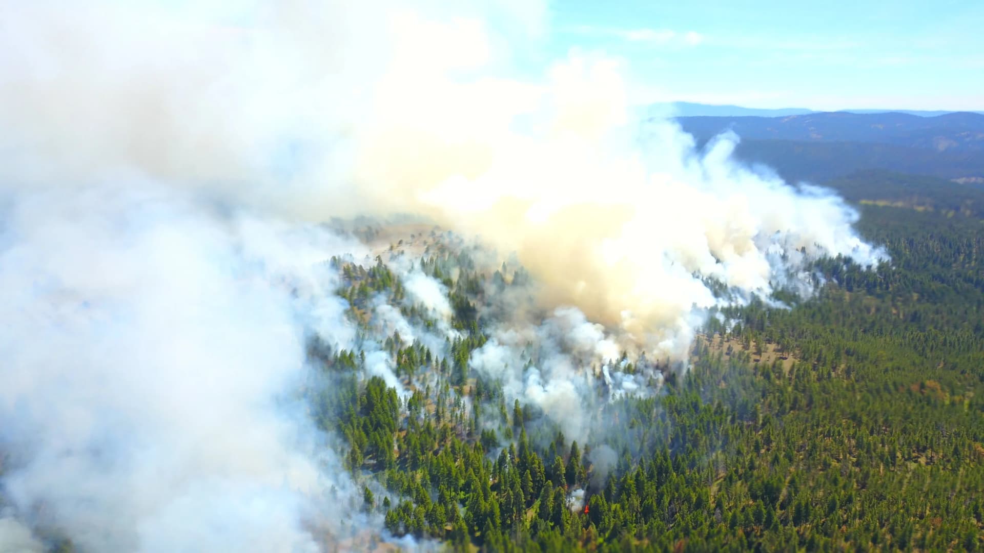 Forest Service Plans Prescribed Burns Near Porter Mountain, Impacts Expected