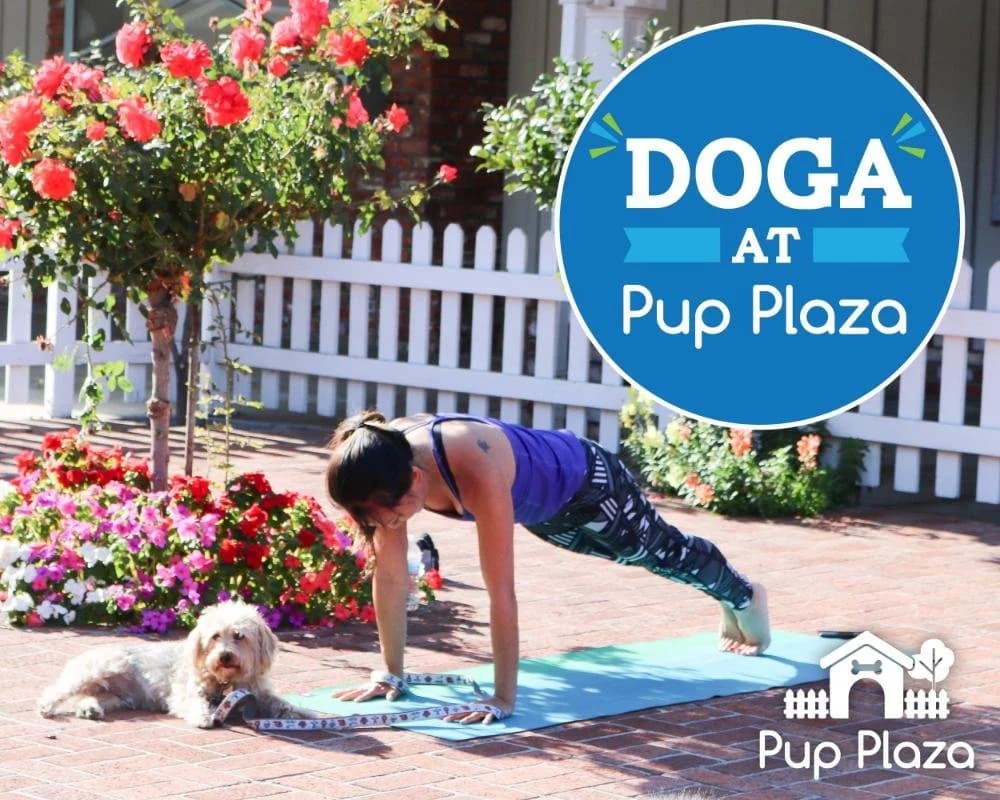 San Jose Pup Plaza offers doga class focused on bonding