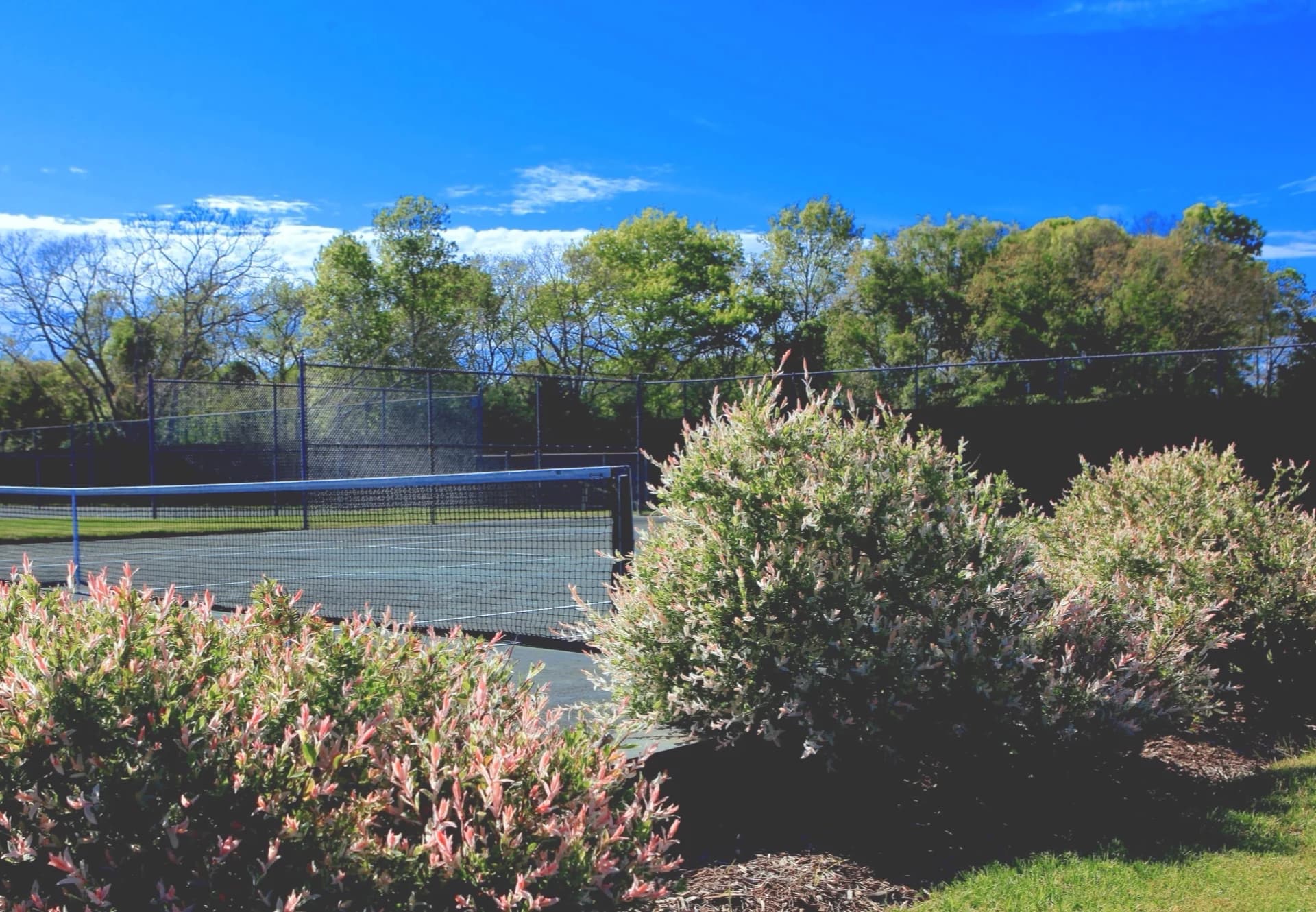 East Hampton Tennis Club Refreshes 2026 Website to Promote Memberships, Junior Programs