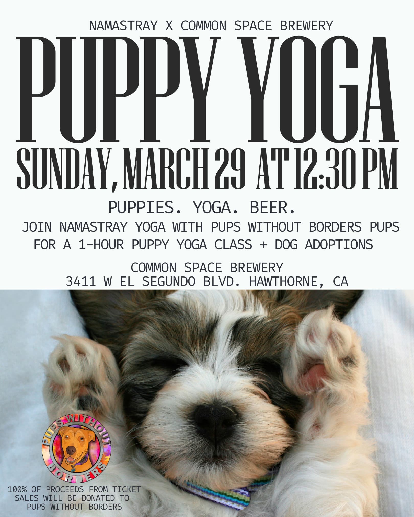 Common Space Brewery Blends Puppy Yoga and Dog Adoption at Namastray Event