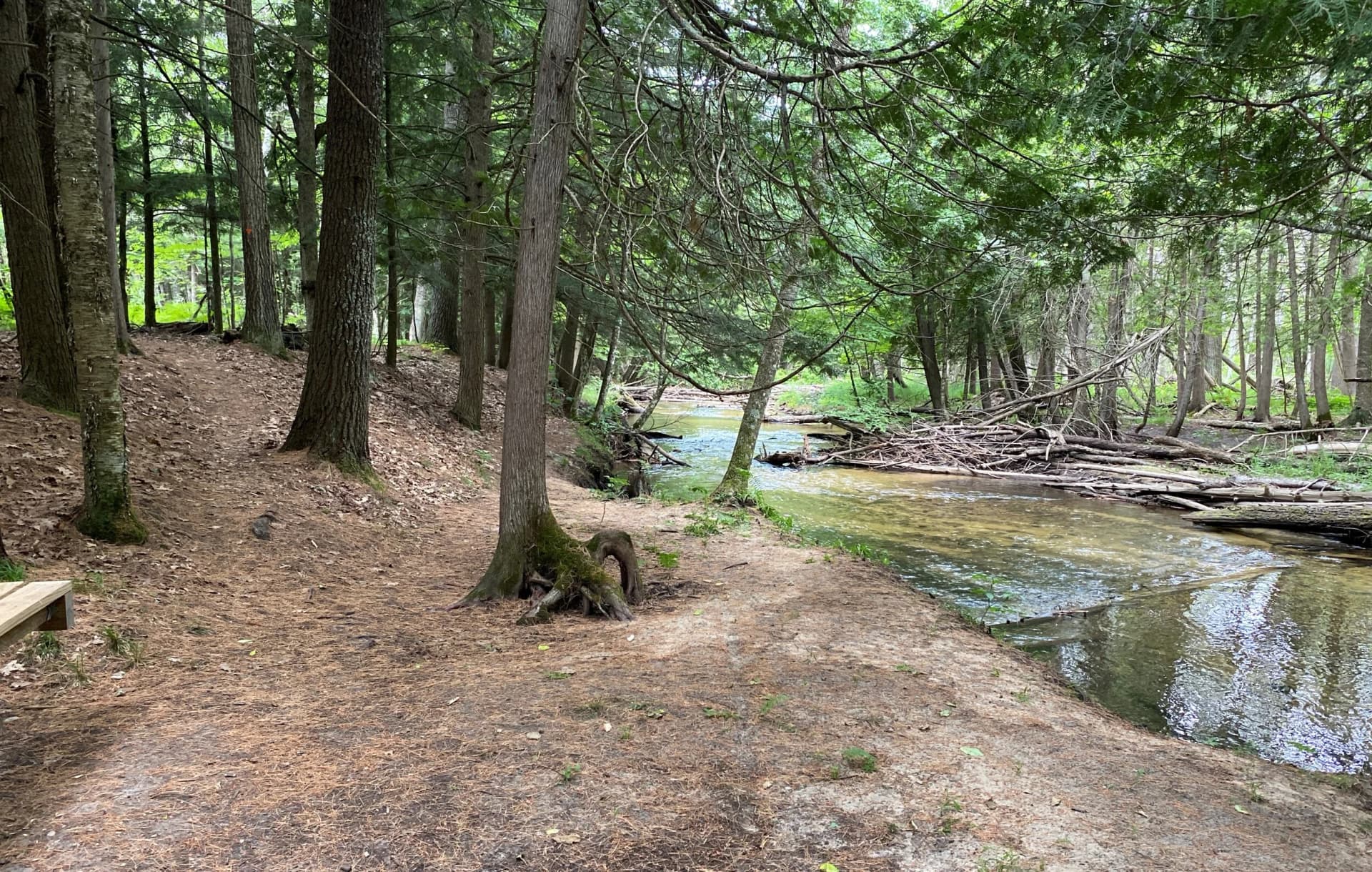 Rotary Camps Donates 560-Acre East Creek Reserve to Grand Traverse Conservation District