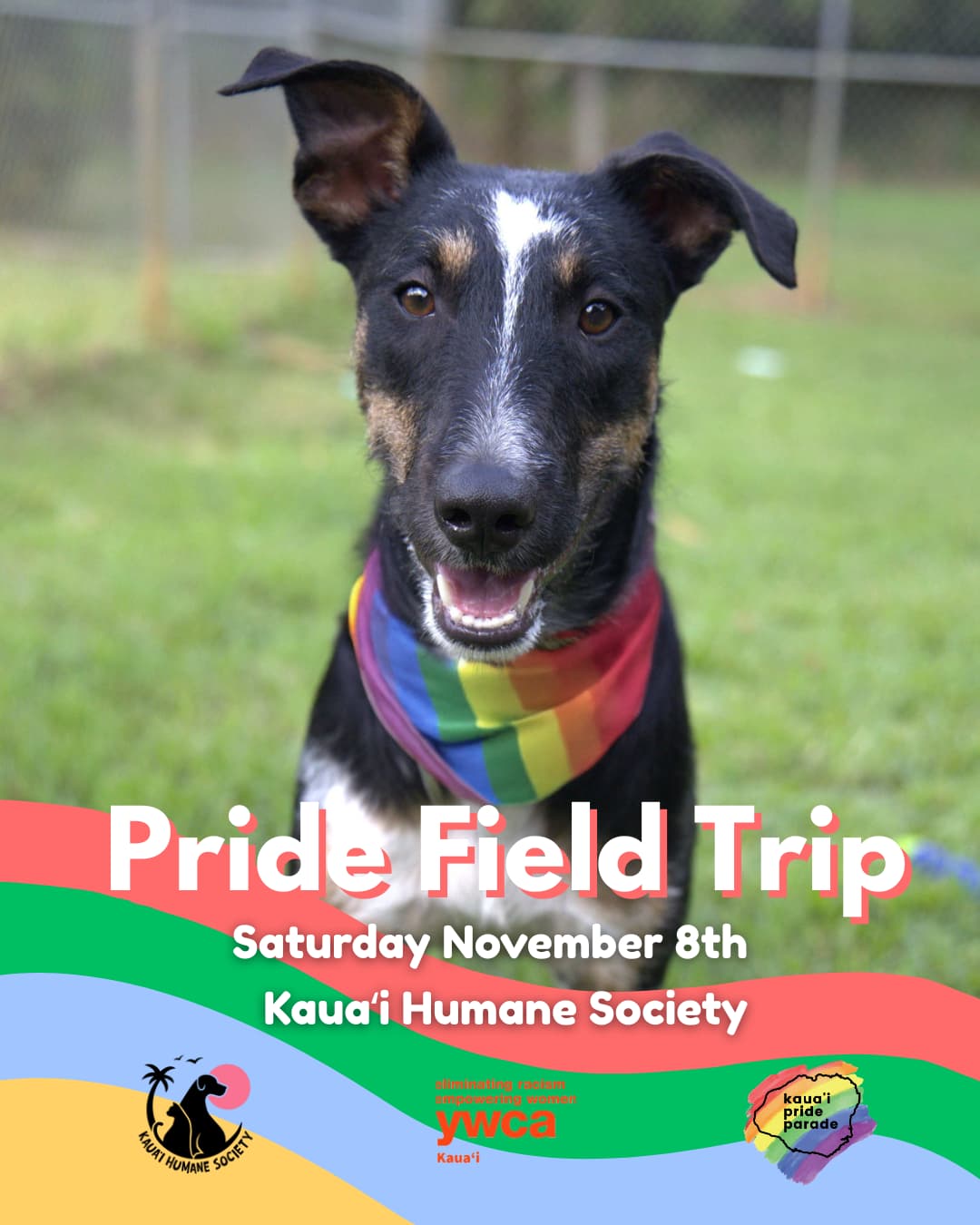 Kauaʻi Pride, Humane Society Host Field Trip to Boost Dog Adoptions