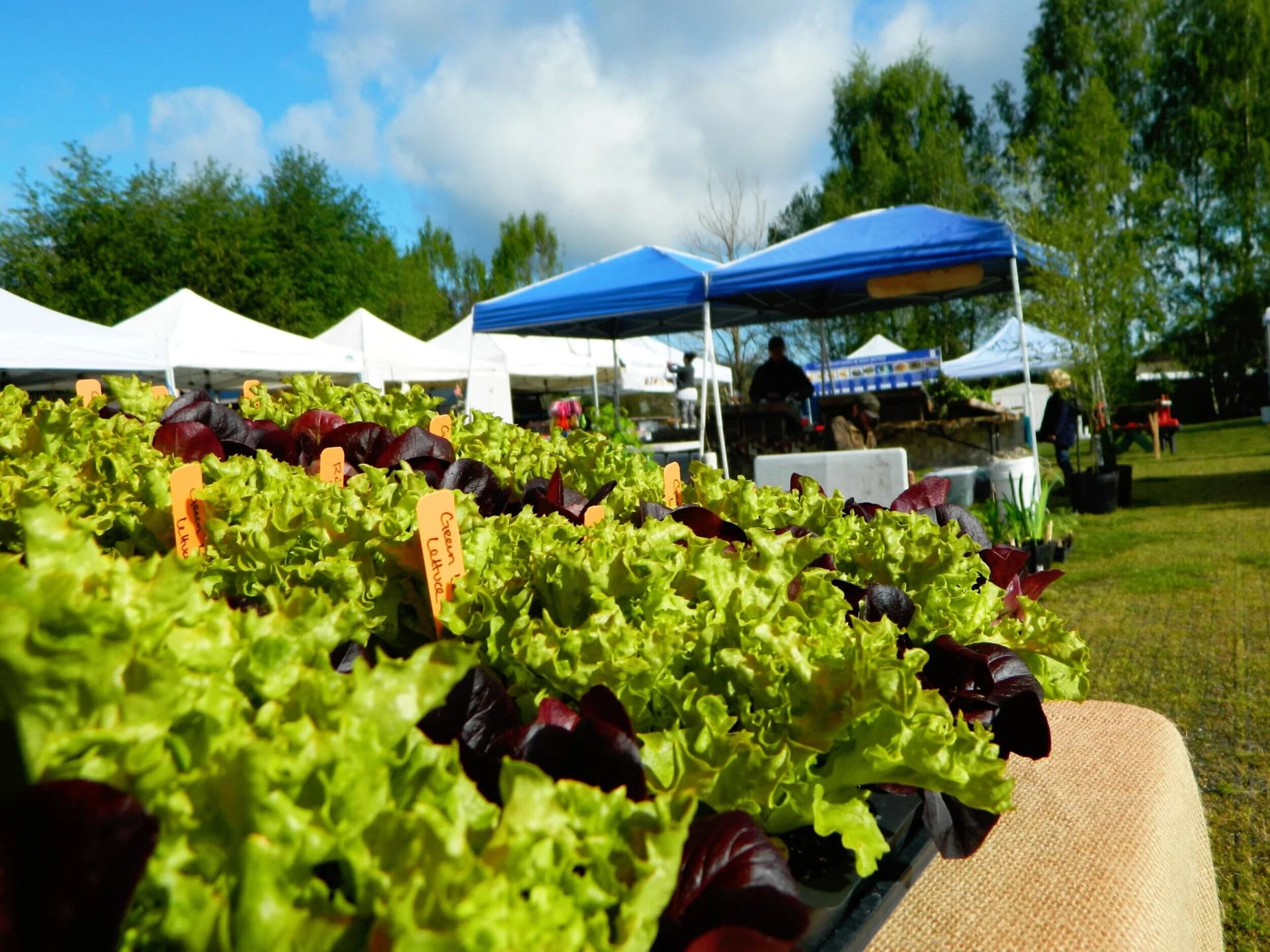 Bayview Farmers Market opens 25th season in Langley
