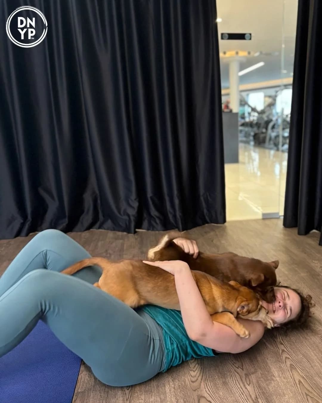 Dog Yoga Calendar Spans New Jersey, Virginia, Connecticut Amid Rescue Changes