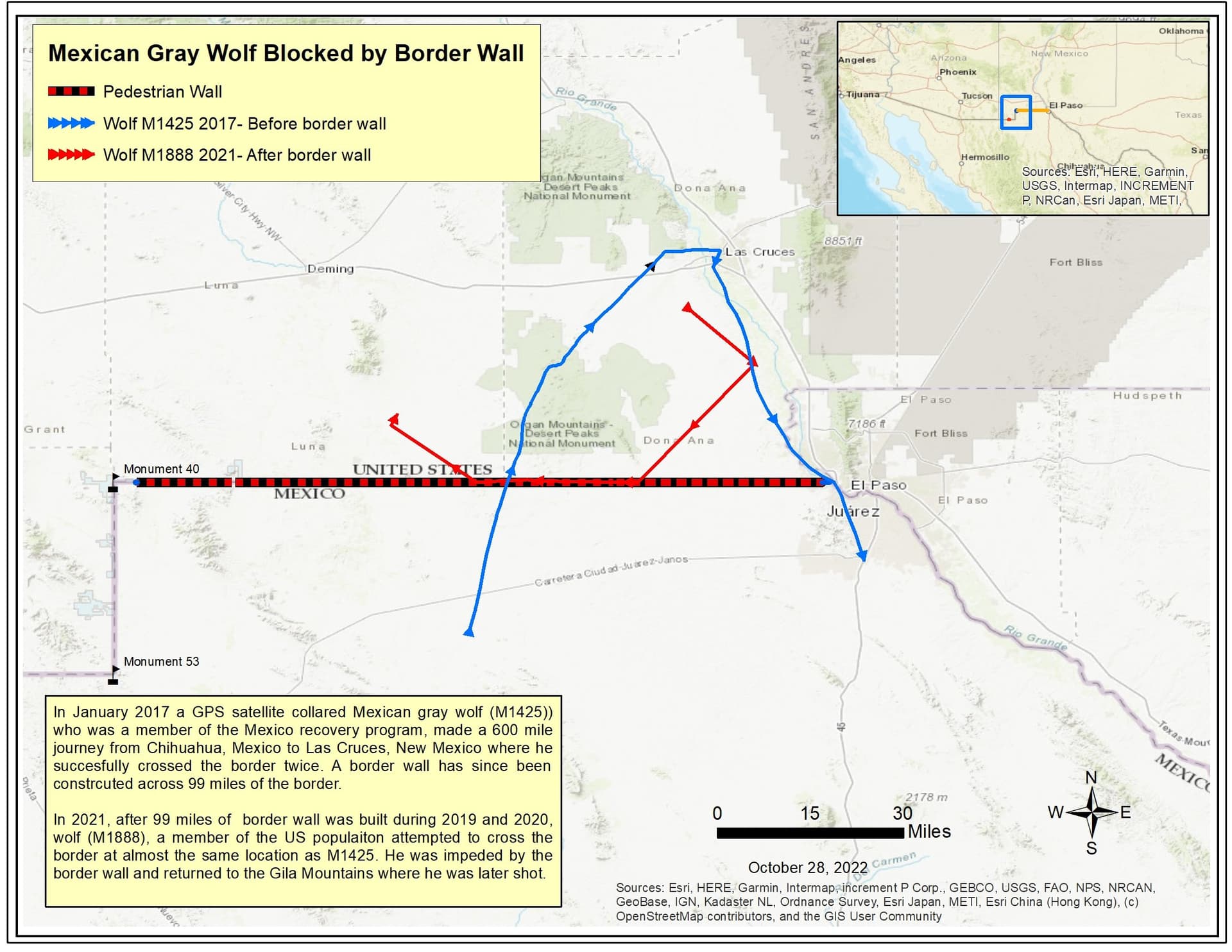 Mexican gray wolf crosses into Mexico, highlighting border wall concerns