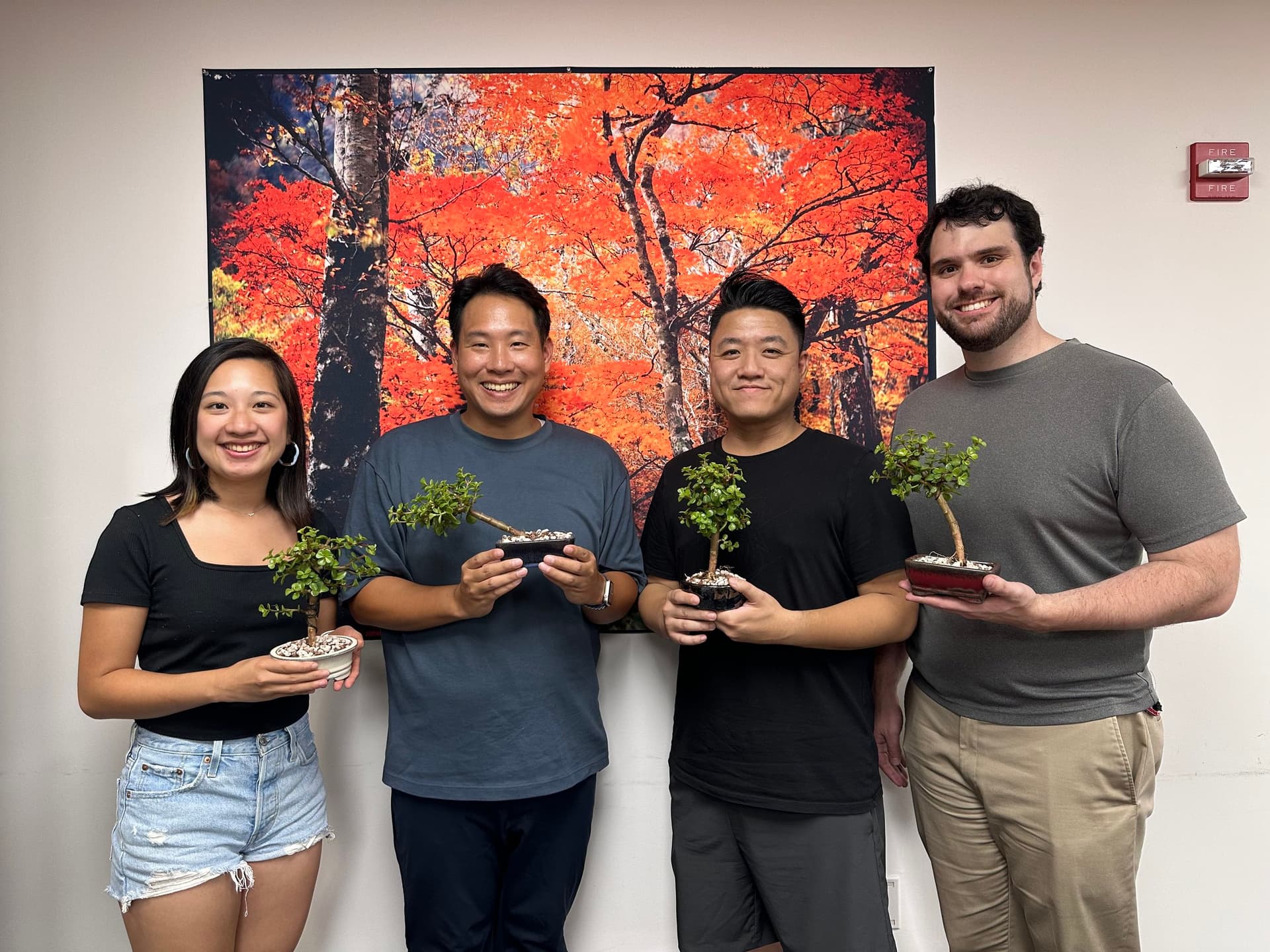 Beginner bonsai workshop in NYC offers take-home Dwarf Jade and gift mame