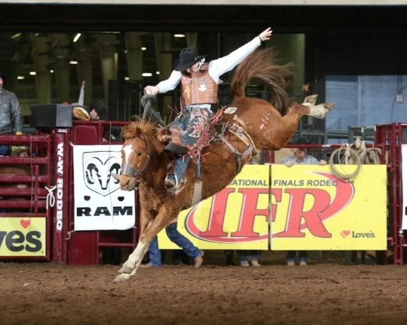 Buckeye Rodeo coming to Hilltop Speedway in Millersburg June 27
