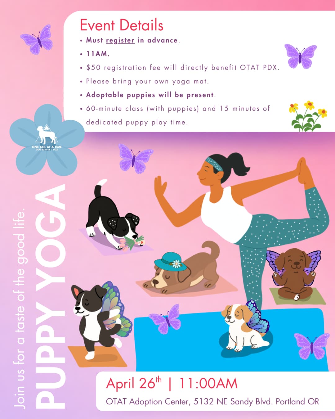 Portland rescue hosts puppy yoga to raise funds and find homes