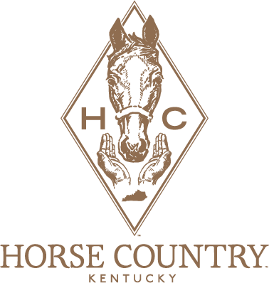 Horse Country welcomes half a million visitors, reshaping racing's image