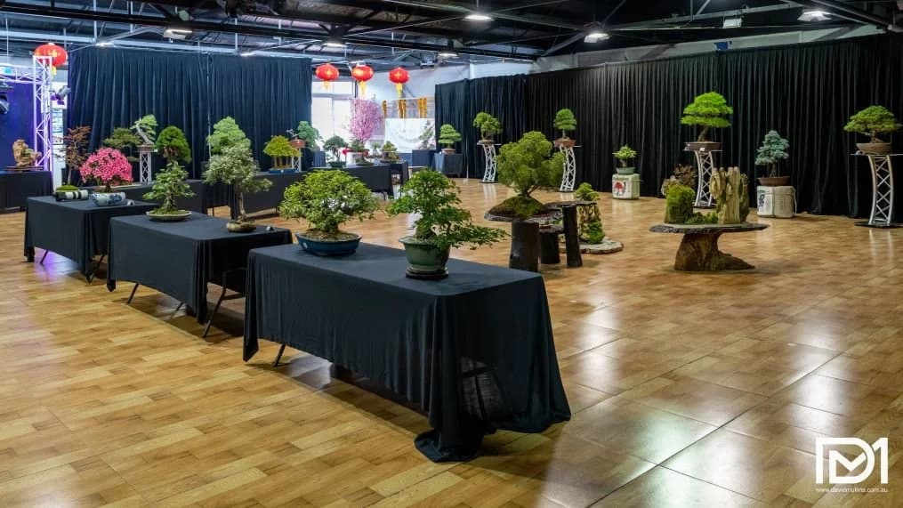 Manipur Bonsai Association Marks Foundation Day with Exhibition and Ceremony