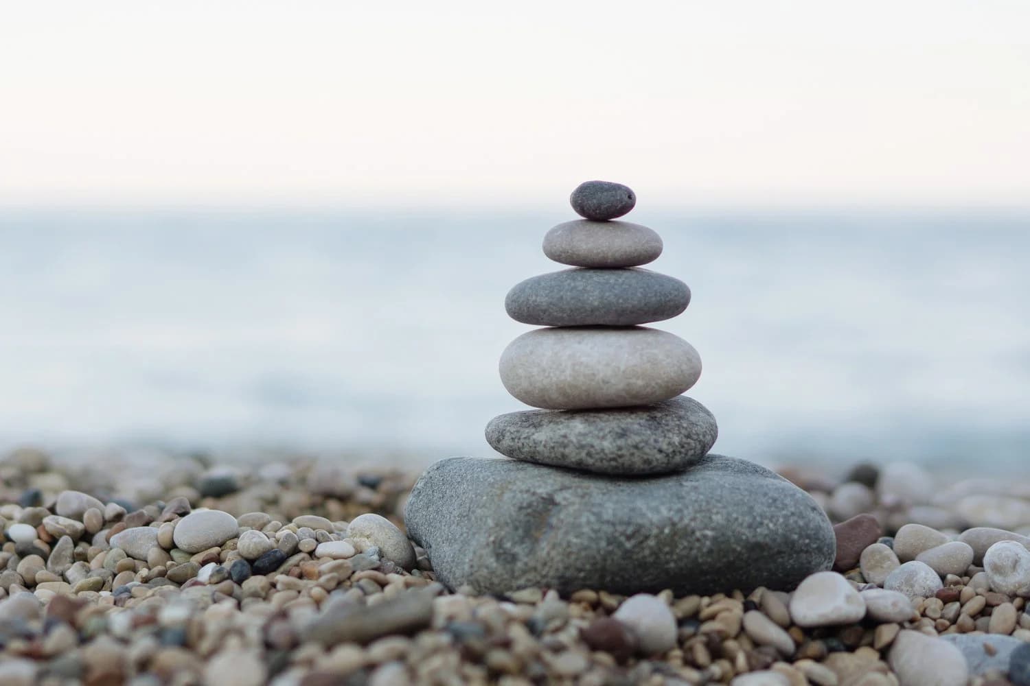 Meditation distractions are normal, Calm says, returning is the practice