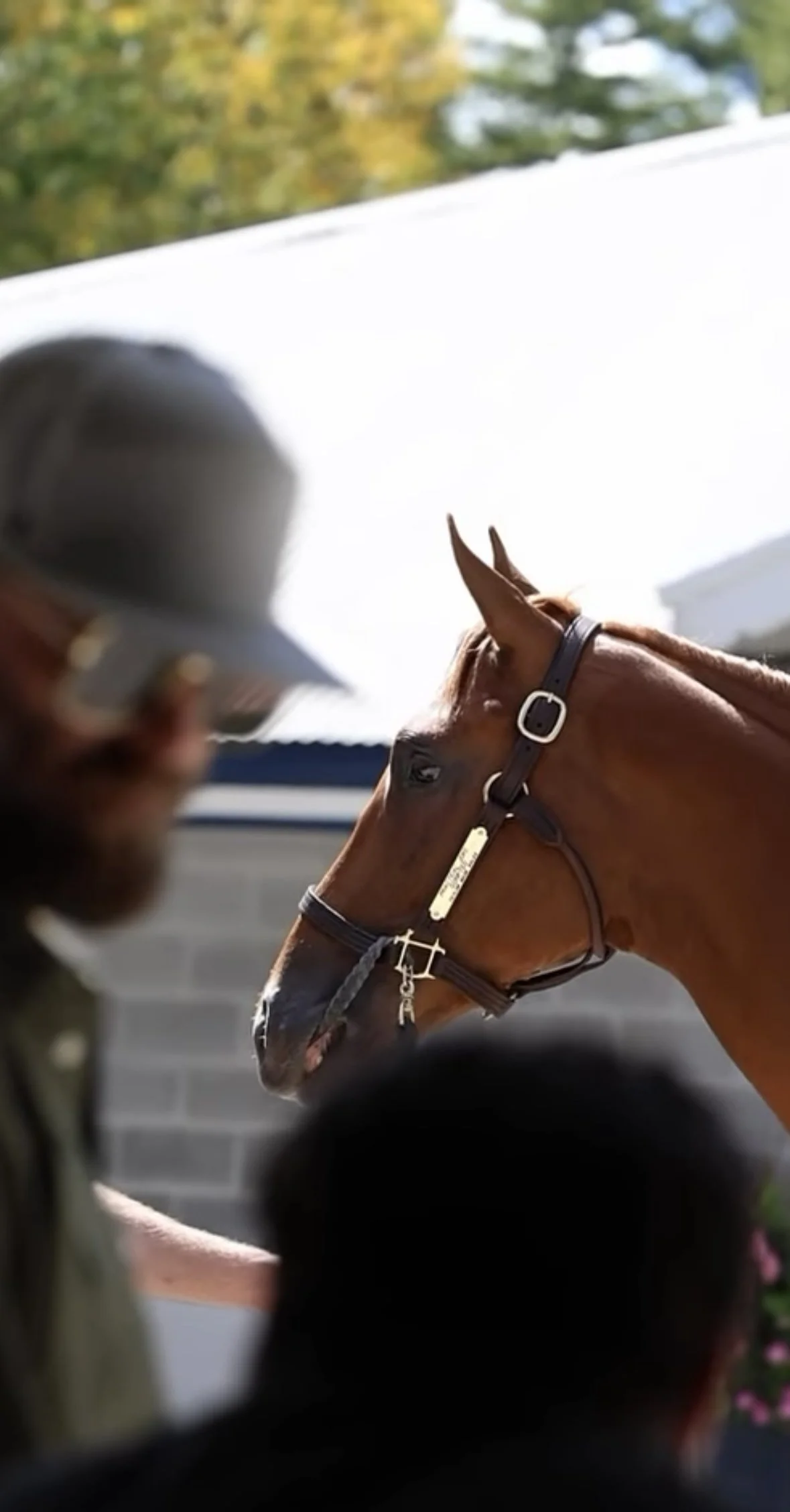 Corniche Colt Tops OBS March Sale Opening Session at $1.35 Million