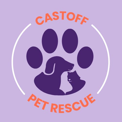 Castoff Pet Rescue Hosts Donation-Based Puppy Yoga to Support Adoptable Dogs