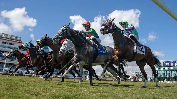 DRF Feb. 20-21 Playbook Reveals Key Races, Picks, Betting Angles