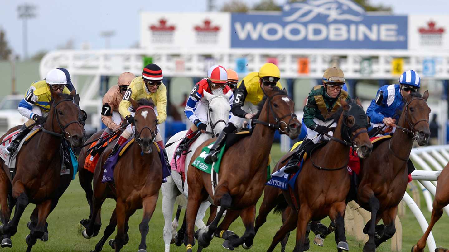 DRF Playbook Highlights 14 Races Across Major Tracks for March 20