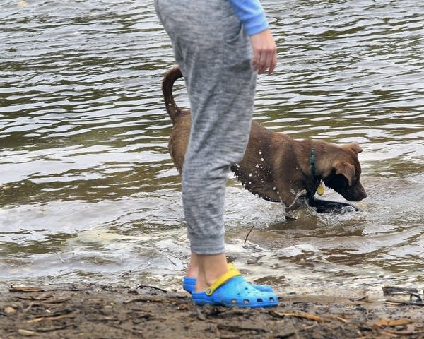 Minnehaha off-leash dog park to close after sacred site ruling