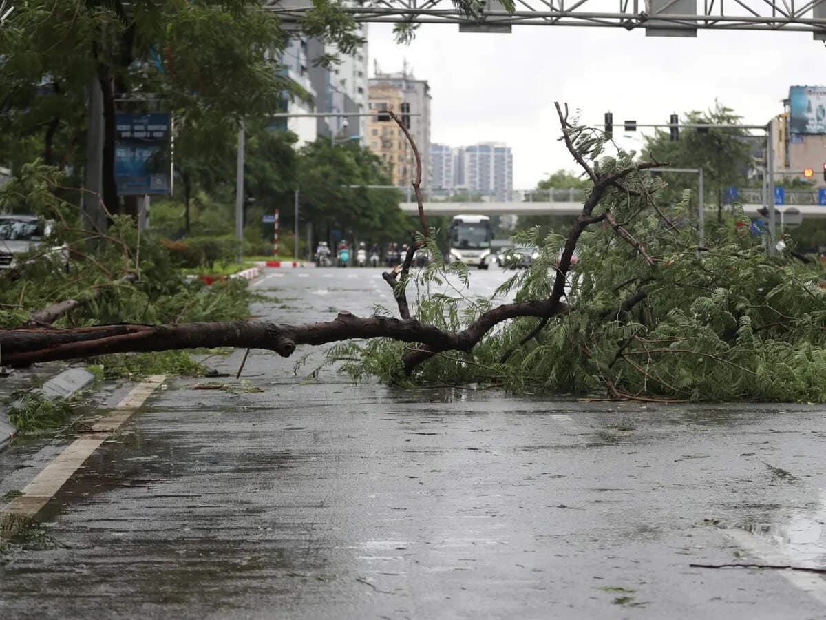 Storm Jangmi lashes Japan, cuts power, halts travel and flights