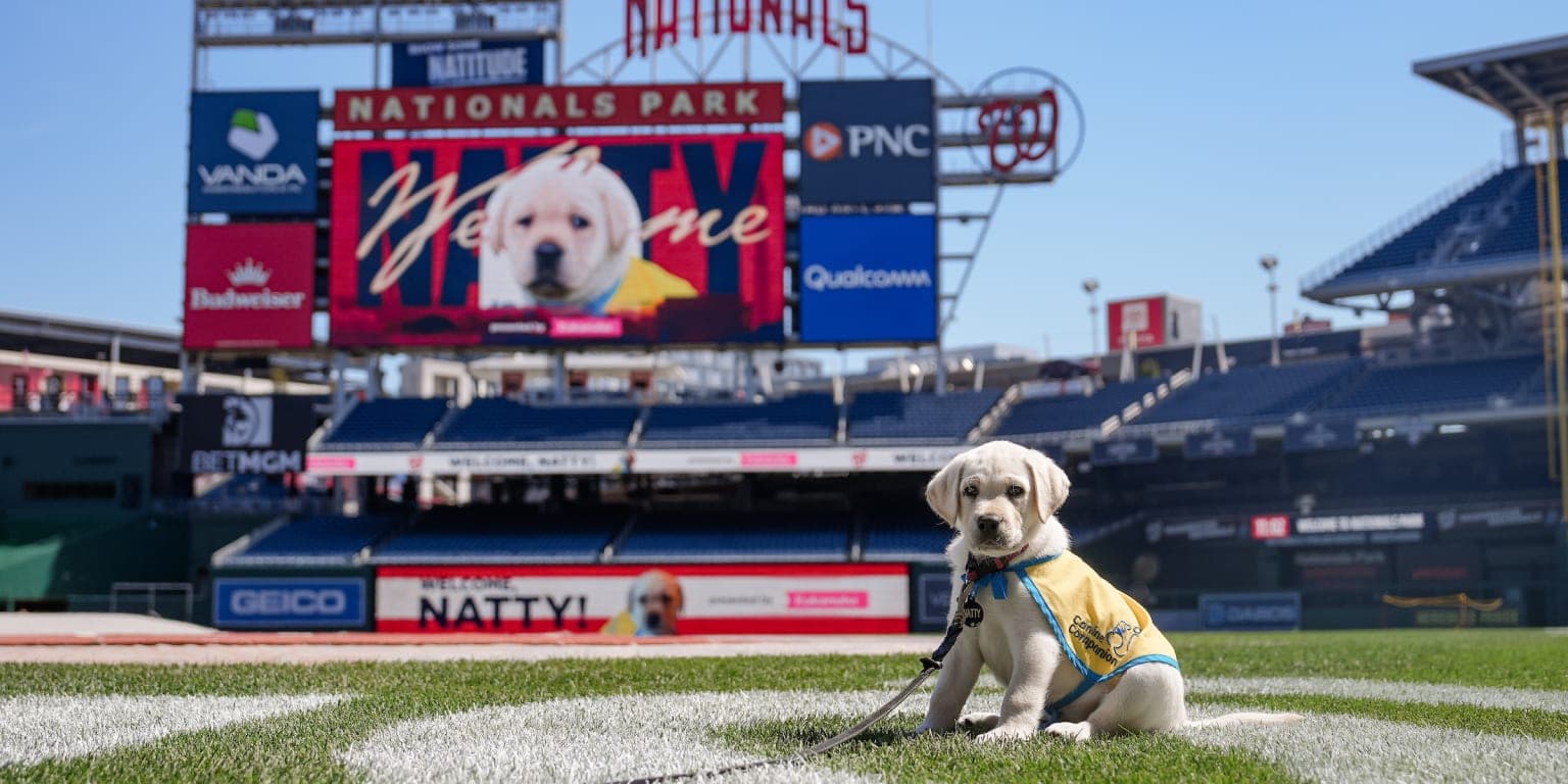 Nationals welcome Natty, a puppy on the road to service work