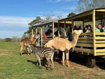 Circle M Safari Park opens March 7 for Cleveland County visitors