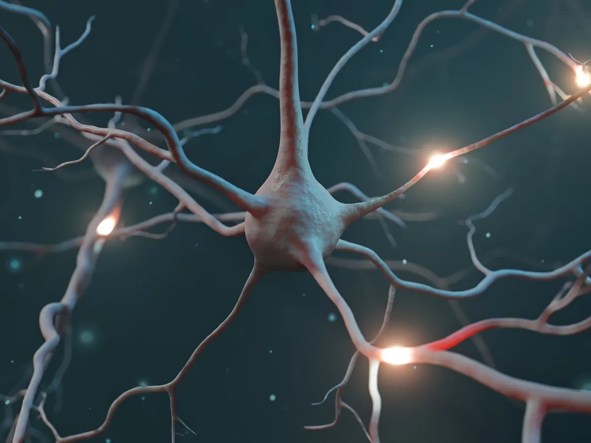 UCB to buy Neurona Therapeutics for $1.15 billion, boosting epilepsy push