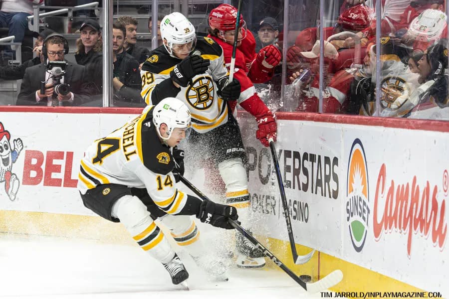 Red Wings Send Mitchell to Lightning, Land Milne and Stachowiak