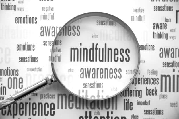 Insight Meditation of the Mid-Columbia opens free beginner series in Richland