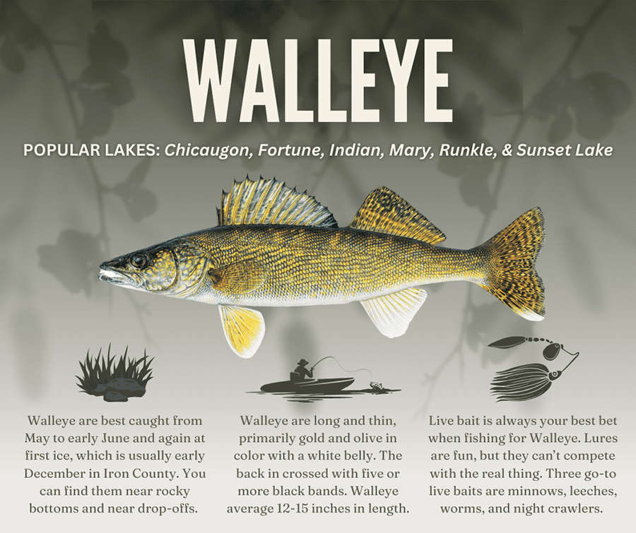 Iron County, Michigan Offers Year-Round Attractions for Visitors and Residents