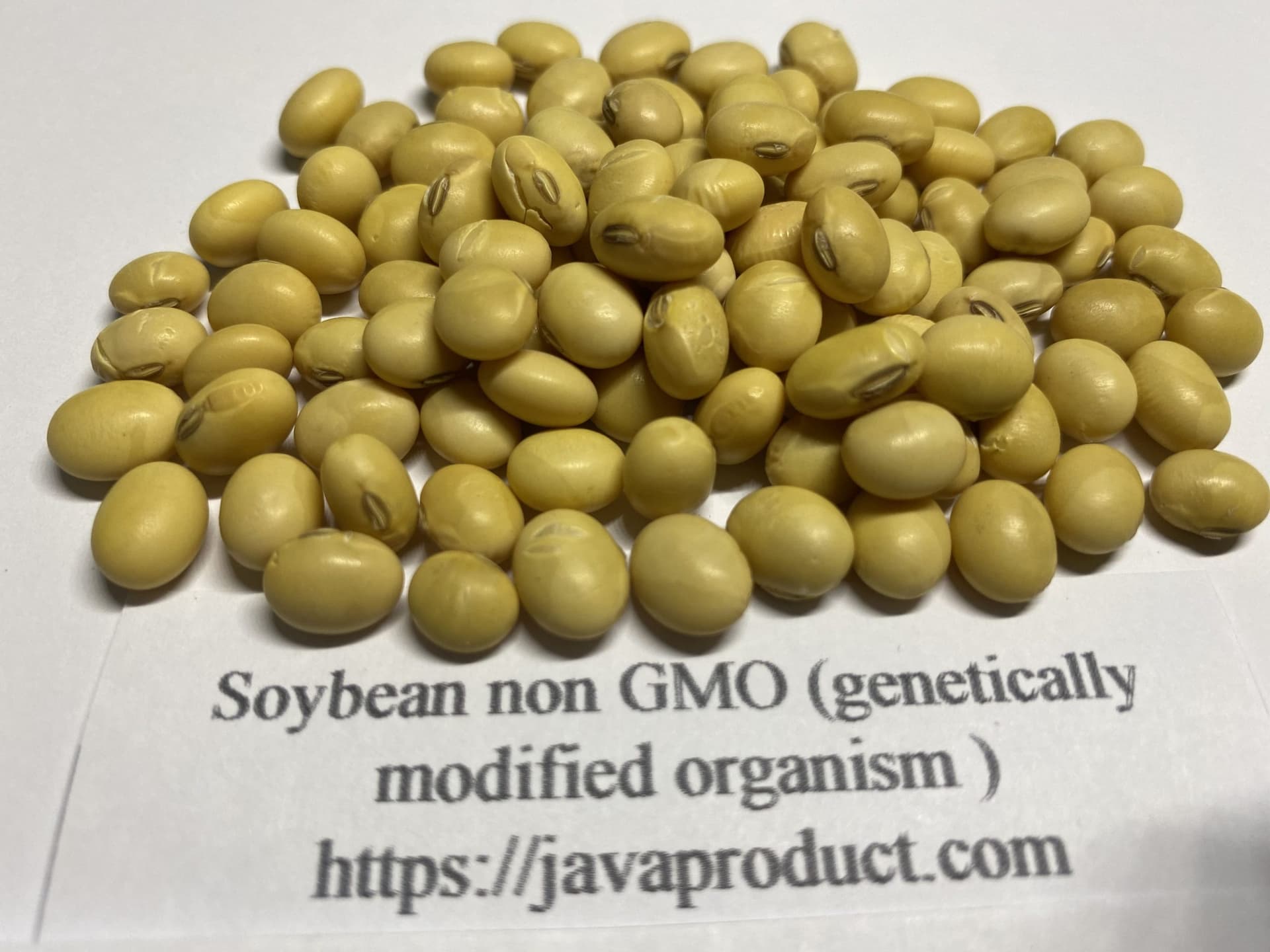 New non-GMO soybean cuts beany off-flavors, could expand plant proteins