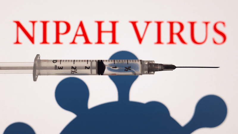 WHO confirms fatal Nipah case in Bangladesh's Rajshahi Division