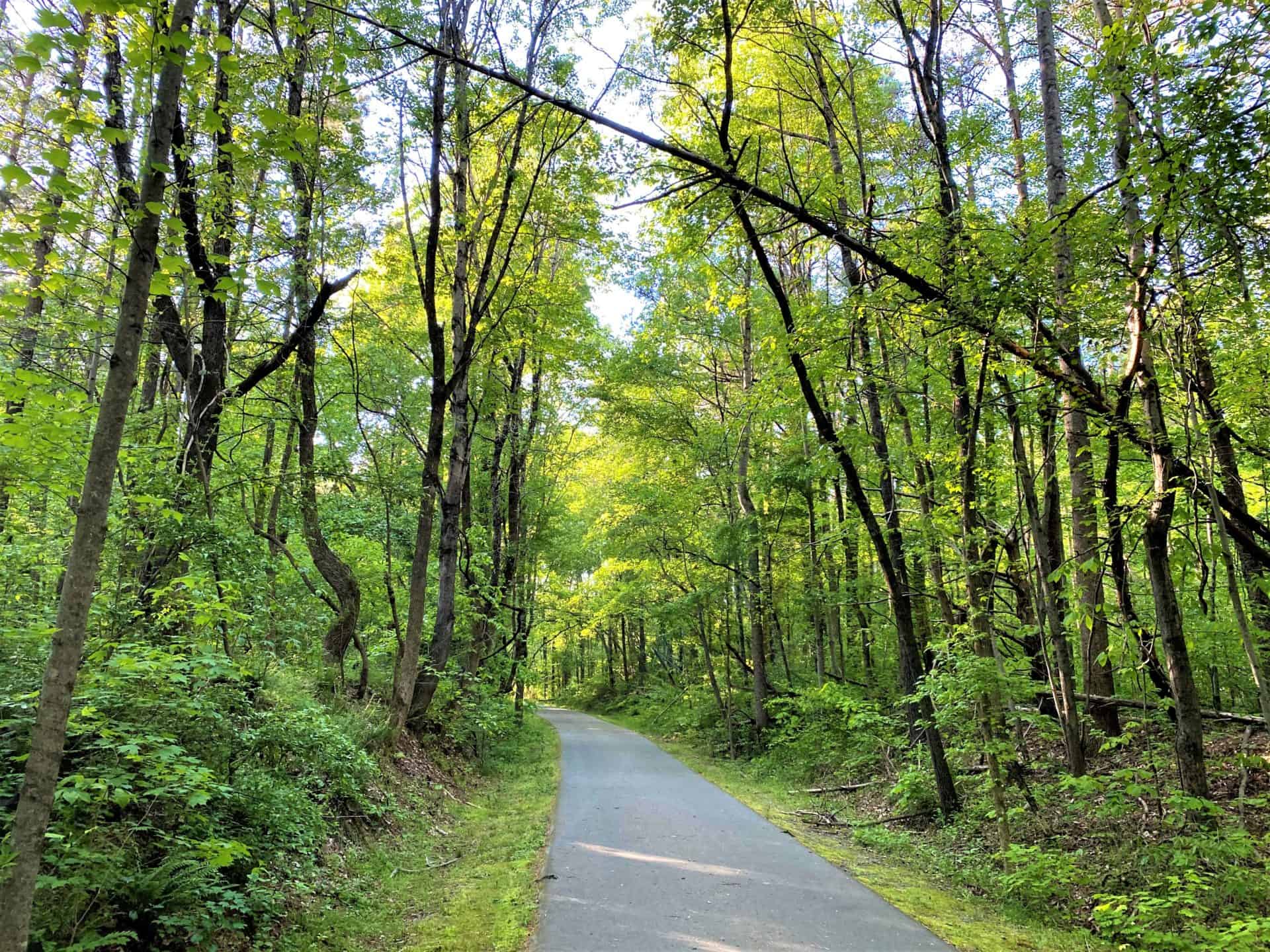 Guilford County parks, greenways and multi-use trails mapped in detail