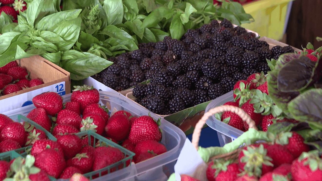 Fresno County Fruit Trail opens 23rd season with fresh harvests