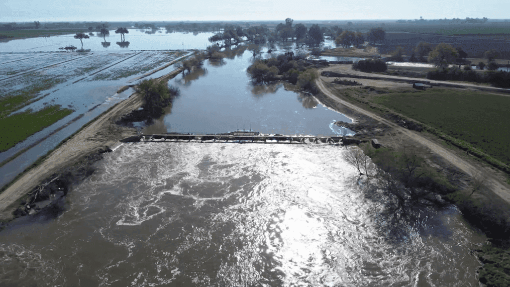 San Joaquin River Floodplain Restoration Begins, Reconnecting Valley Grasslands