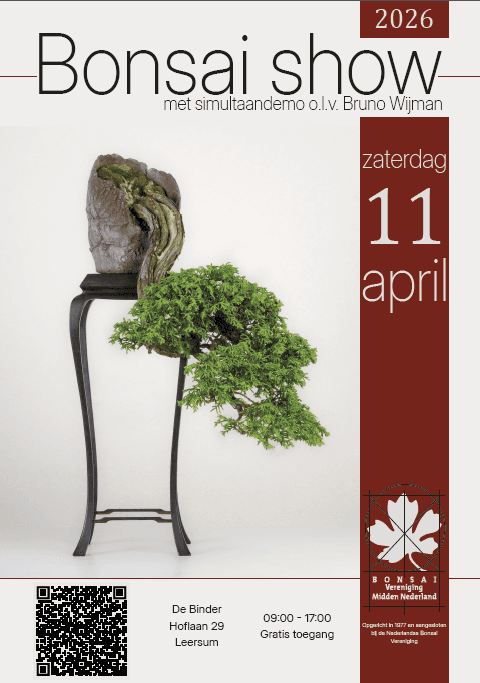 Leersum Spring Show Brings Over 100 Bonsai, Free Demos, and Market April 11
