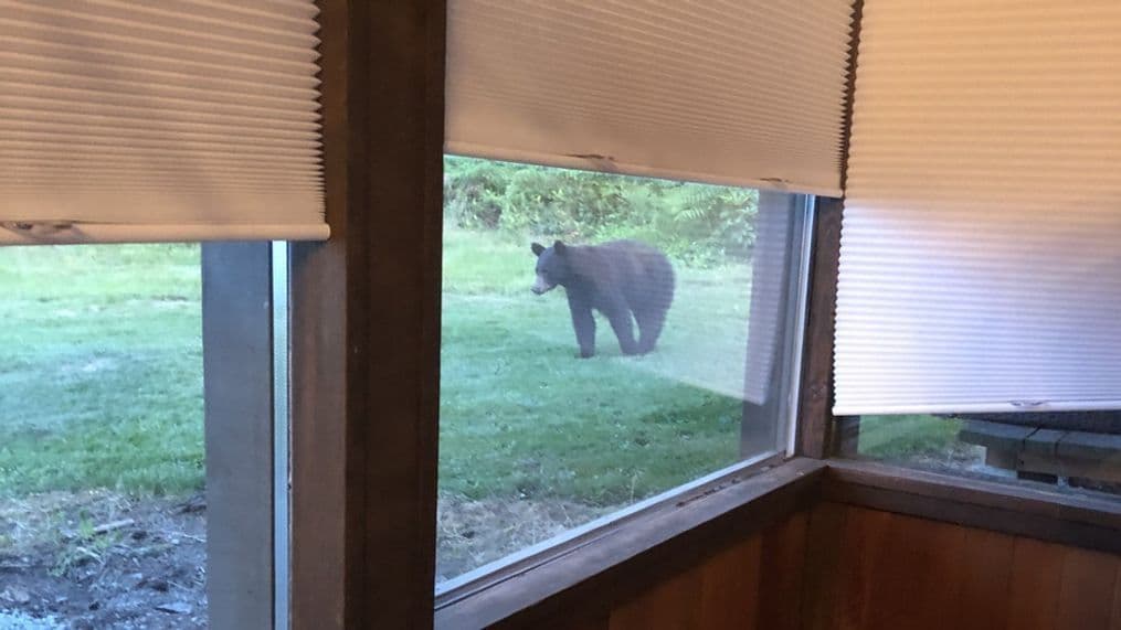 Small neighborhood incidents raise safety questions on Whidbey Island