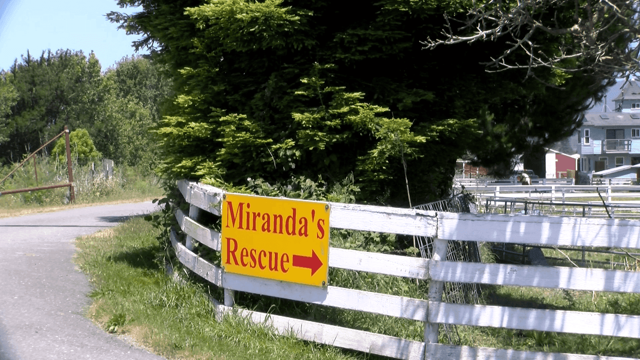 Humboldt County warns Miranda’s Rescue could lose permit over compliance issues