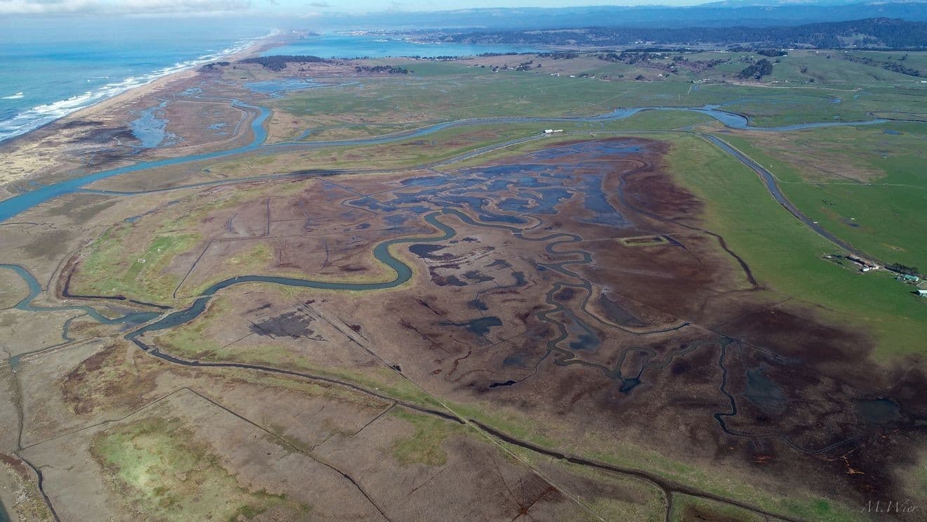 California Trout gets $4 million for Eel River estuary restoration