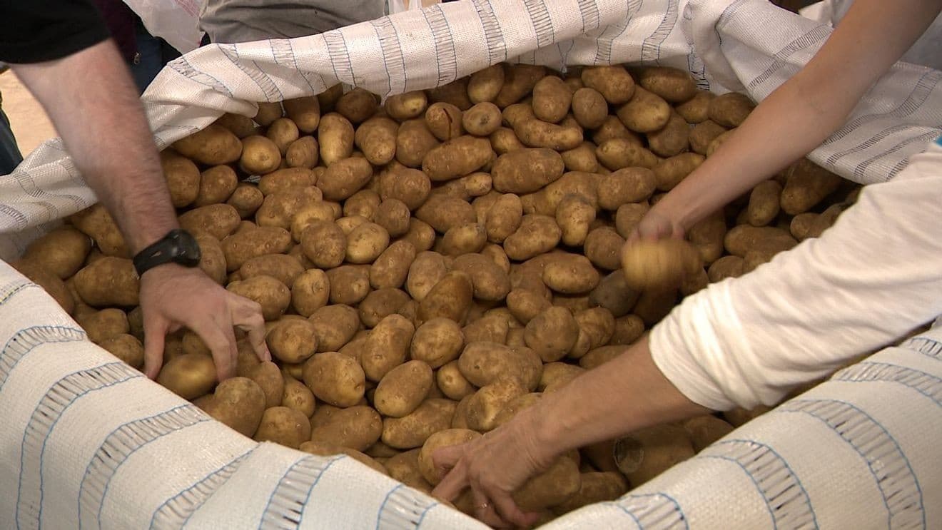 Food Bank Receives 45,000 Pounds of Dry Goods, Boosting Hunger Relief