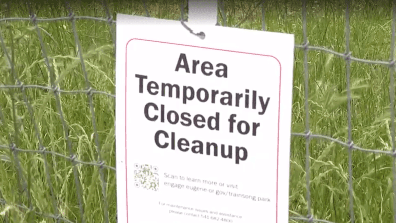 More dioxin found at Trainsong Park, cleanup may grow in scope