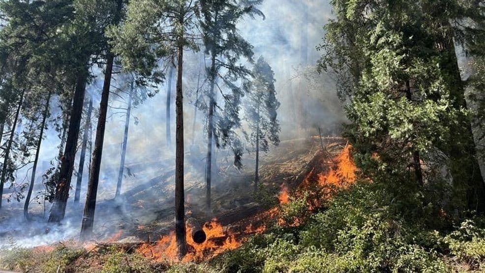 Eagle Rock Park in Vida Reopens After Holiday Farm Fire Damage