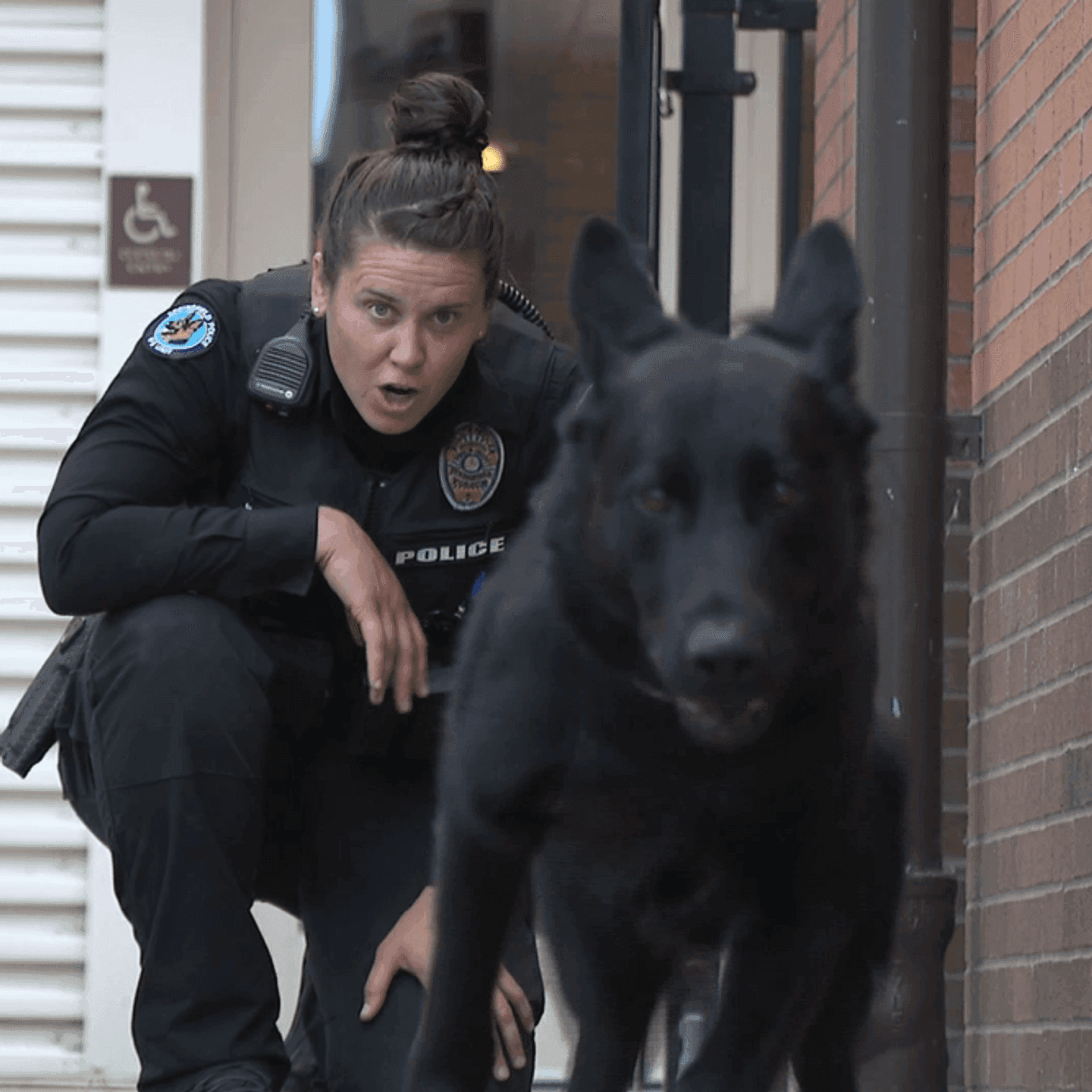 Former teacher becomes Lane County's only female K-9 handler
