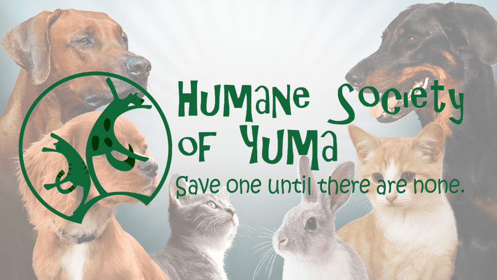 Humane Society of Yuma Releases 2025 Report Detailing Intake, Adoptions, Transfers