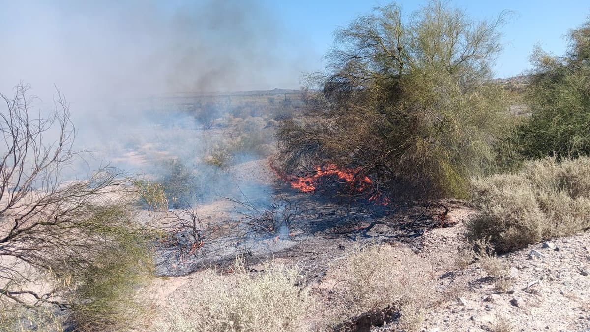 Fire near Mittry Lake burns 184 acres, linked to fireworks