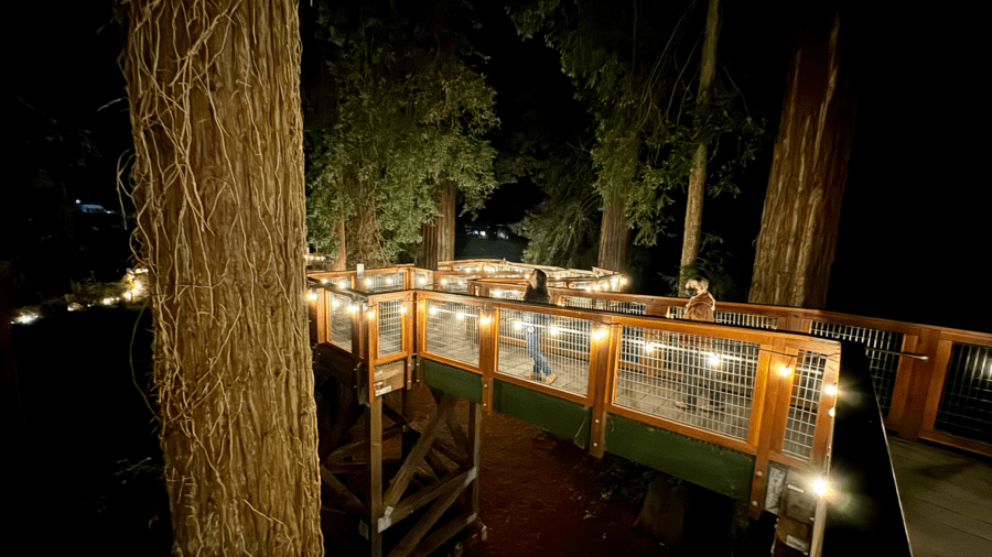 Sequoia Park Zoo Lights Bring Holiday Nights and Community Boost