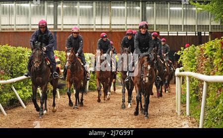 Aidan O'Brien Stars Who Bounced Back Strongly After Classic Defeats