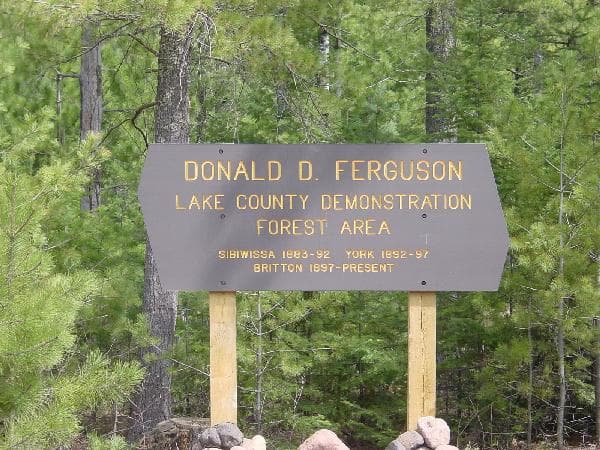 Lake County’s demonstration forest shows how working woods and recreation coexist