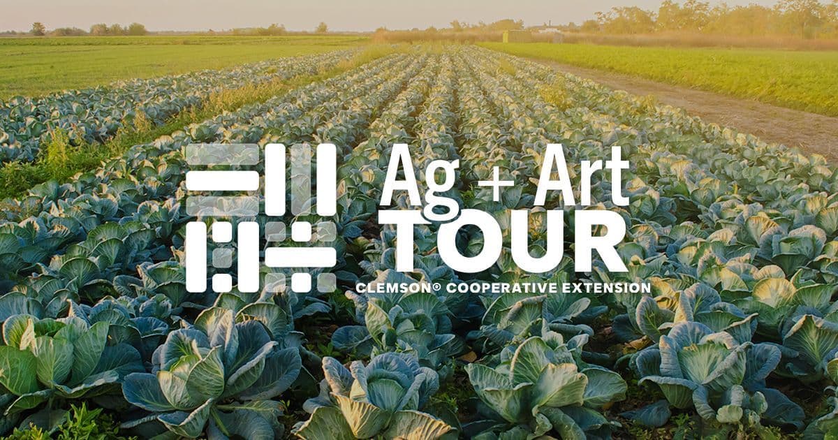 Bamberg County sets June 27 for free Ag + Art Tour