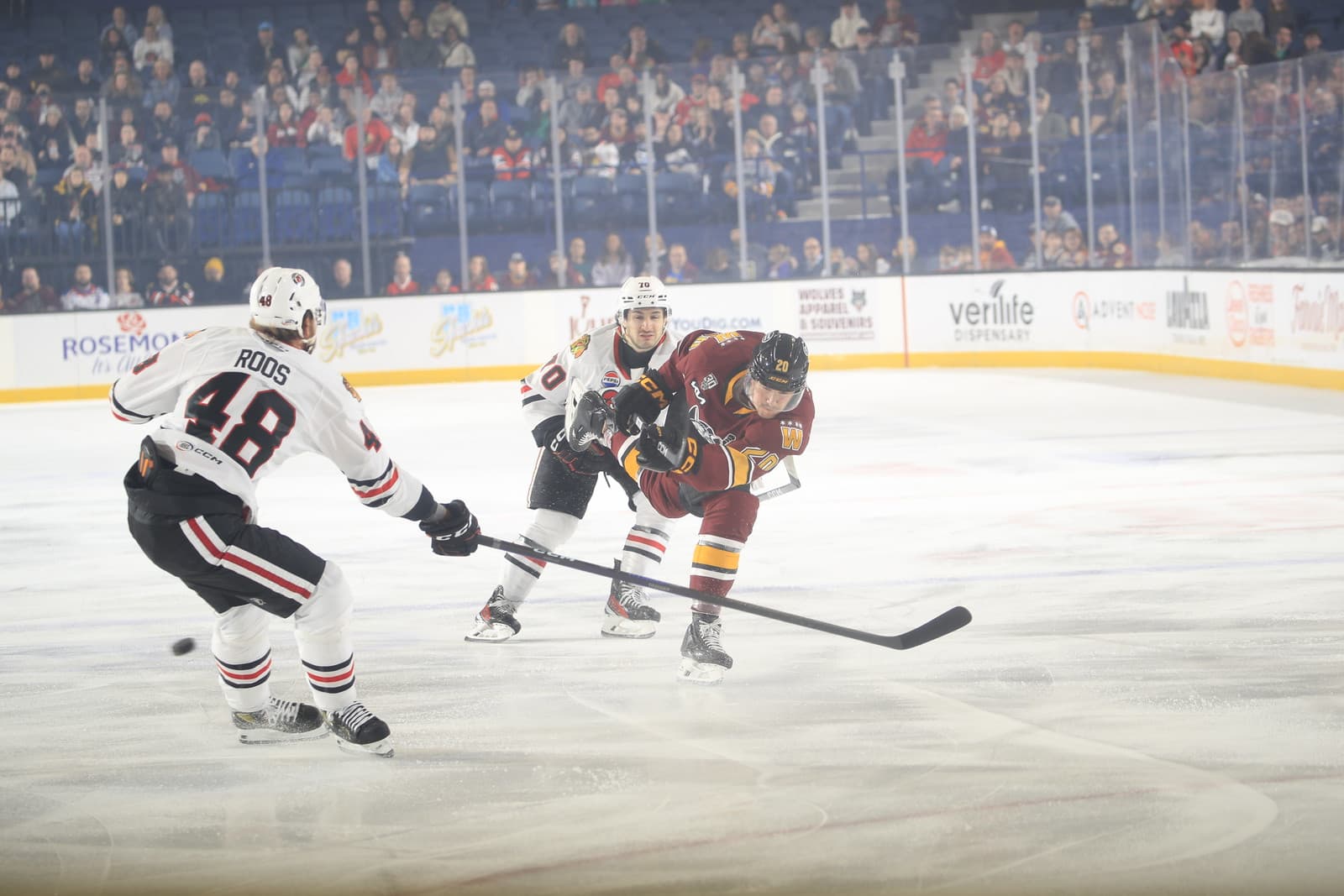 IceHogs Down Wolves 4-1 in Final Regular-Season Visit to Rockford