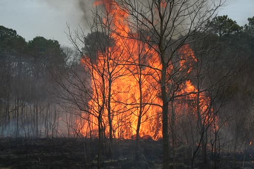 Maryland wildfires surged in 2025, arson burned most acres