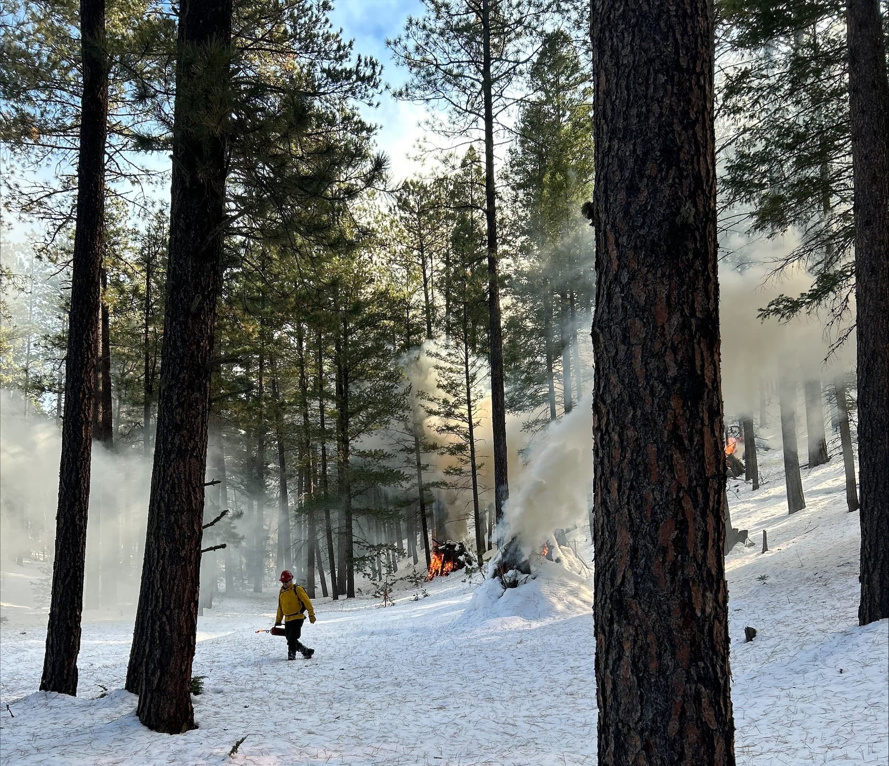Santa Fe National Forest Planned Pile Burns Near Los Alamos